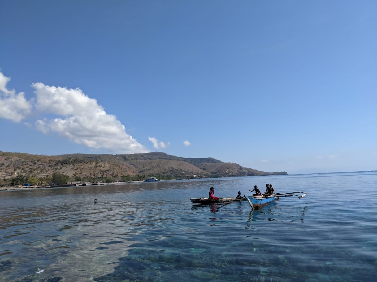 Ataúro Recognized as One of Top 100 Sustainability Stories - Ataúro Island